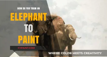 Teaching Elephants to Paint: Unlocking Creative Potential Through Training