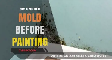Effective Mold Treatment Steps for a Smooth, Long-Lasting Paint Job