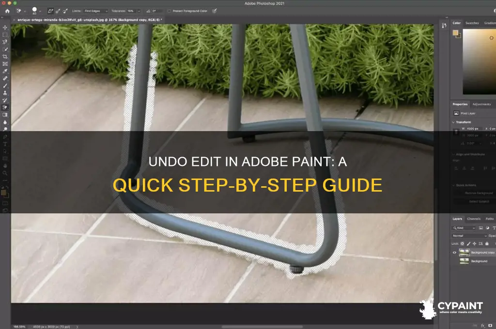 how do you undo edit in adobe paint
