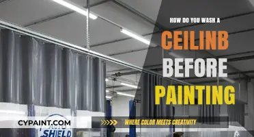 Prep Like a Pro: Effective Ceiling Washing Tips Before Painting