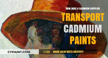 Safe Transport of Cadmium Paints: A Supplier's Logistics Guide