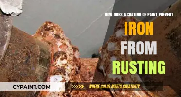 Paint's Protective Power: Shielding Iron from Rust and Corrosion
