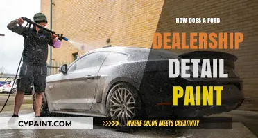 Ford Dealership Paint Detailing: Techniques for a Flawless Finish