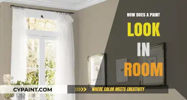 Choosing the Perfect Paint: Visualizing Colors in Your Room