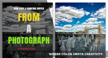 Art vs. Reality: Exploring the Unique Differences Between Paintings and Photographs