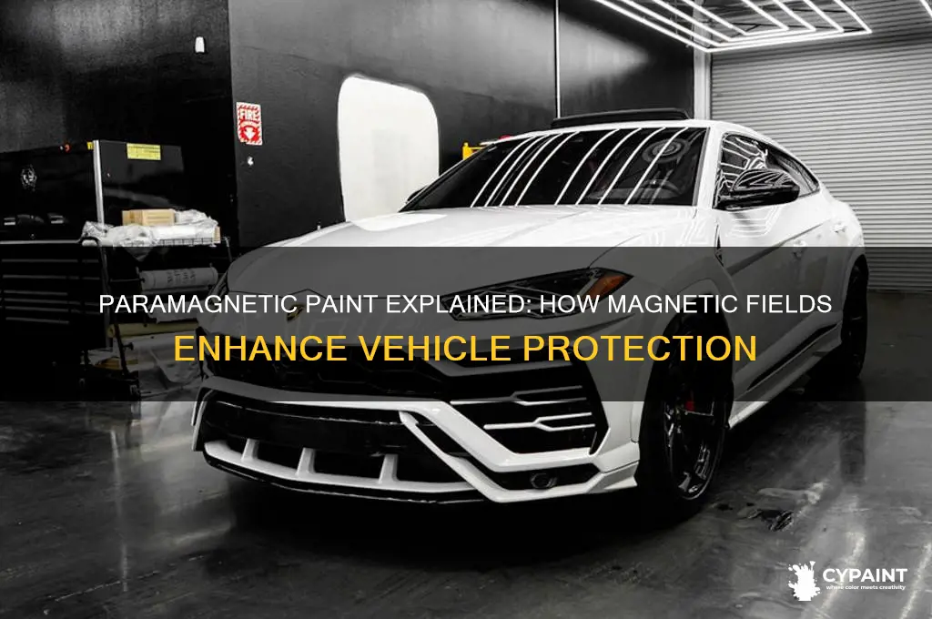 how does a paramagnetic paint job work