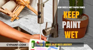 The Secret to Keeping Paint Wet with a Paper Towel