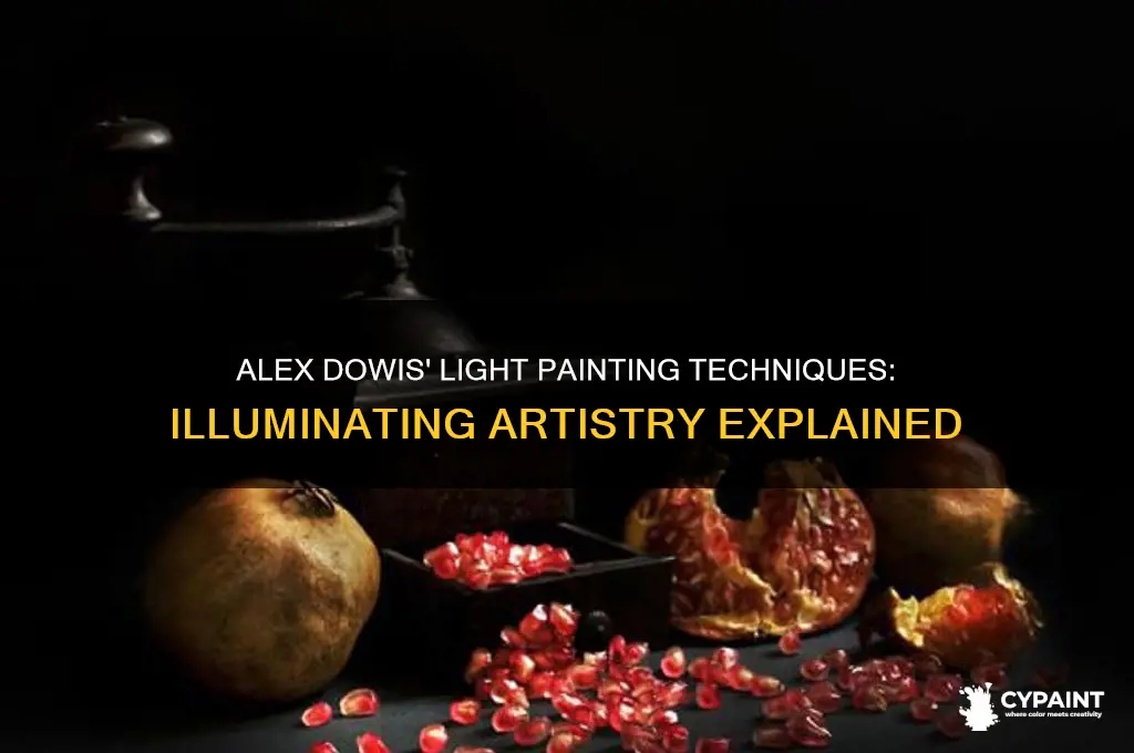 how does alex dowis paint with light