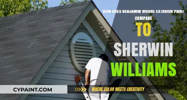 Benjamin Moore vs. Sherwin Williams Exterior Paint: A Comprehensive Comparison