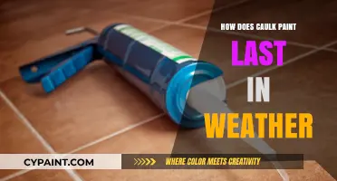 Weather-Resistant Caulk Paint: Durability and Longevity in Outdoor Conditions