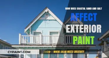 Salt and Sand: The Impact on Exterior Paint