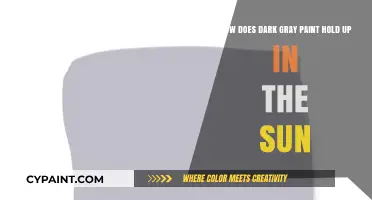 Dark Gray Paint Durability: Sun Exposure and Longevity Explained