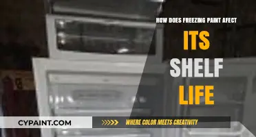 Freezing Paint: Impact on Shelf Life and Quality Explained