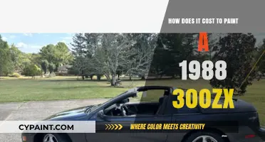Cost to Paint a Classic 300ZX