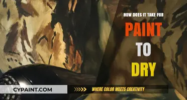 Understanding Paint Drying Time: Factors, Tips, and Quick-Dry Solutions