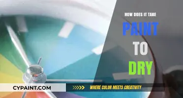Understanding Paint Drying Time: Factors, Tips, and Tricks for Efficiency