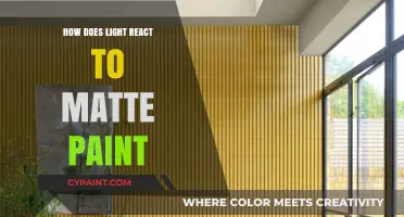 Matte Paint's Light Interaction: Understanding Reflection and Absorption Dynamics