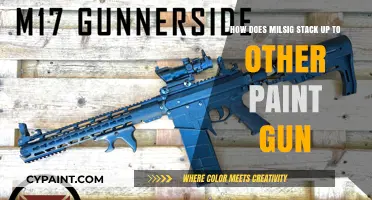 Milsig Paint Guns: How Do They Measure Up?