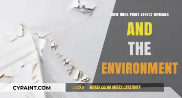 Paint's Impact: Human Health and Environmental Consequences Explored