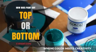 How Paint Dries: Top or Bottom First? The Science Explained