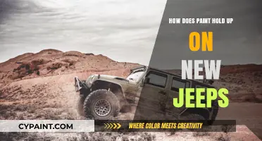 Durability of Paint on New Jeeps: Longevity and Maintenance Tips