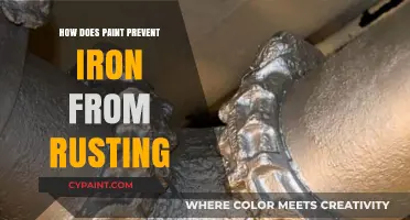 How Paint Acts as a Barrier to Prevent Iron Rusting