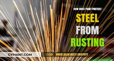 How Paint Acts as a Barrier to Prevent Steel Rusting