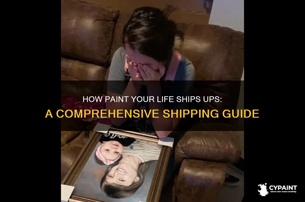how does paint your life ship ups