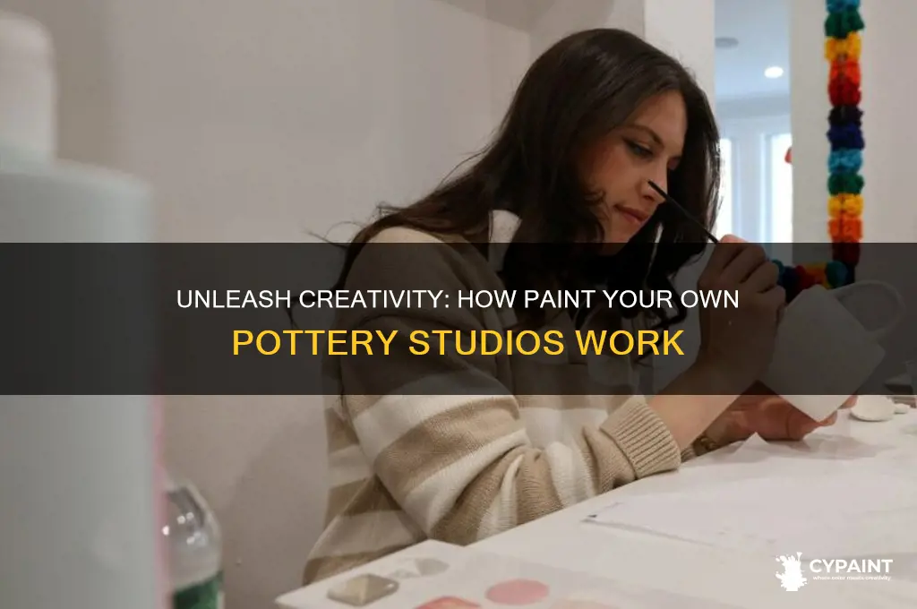 how does paint your pwn pottery work