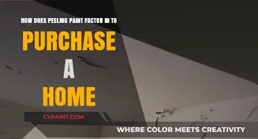 Peeling Paint: What It Reveals About Your Potential Home Purchase