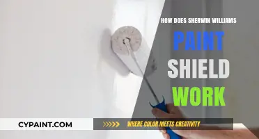 How Sherwin Williams Paint Shield Protects Surfaces: A Detailed Guide