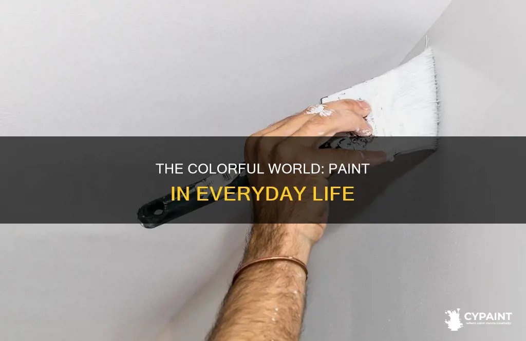 how does society apply paint in their everyday lives