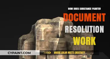 Understanding Substance Painter's Document Resolution: A Comprehensive Guide