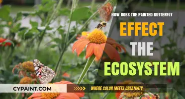 Painted Butterfly's Role: Ecosystem Impact and Environmental Significance Explored