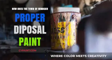 Proper Paint Disposal: Windsor's Guide to Eco-Friendly Practices