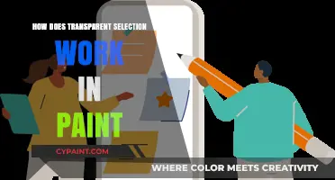 Understanding Transparent Selection Techniques in Digital Painting Tools