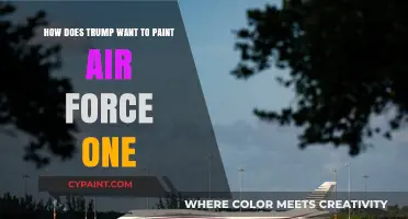 Trump's Air Force One: A Red, White, and Blue Makeover