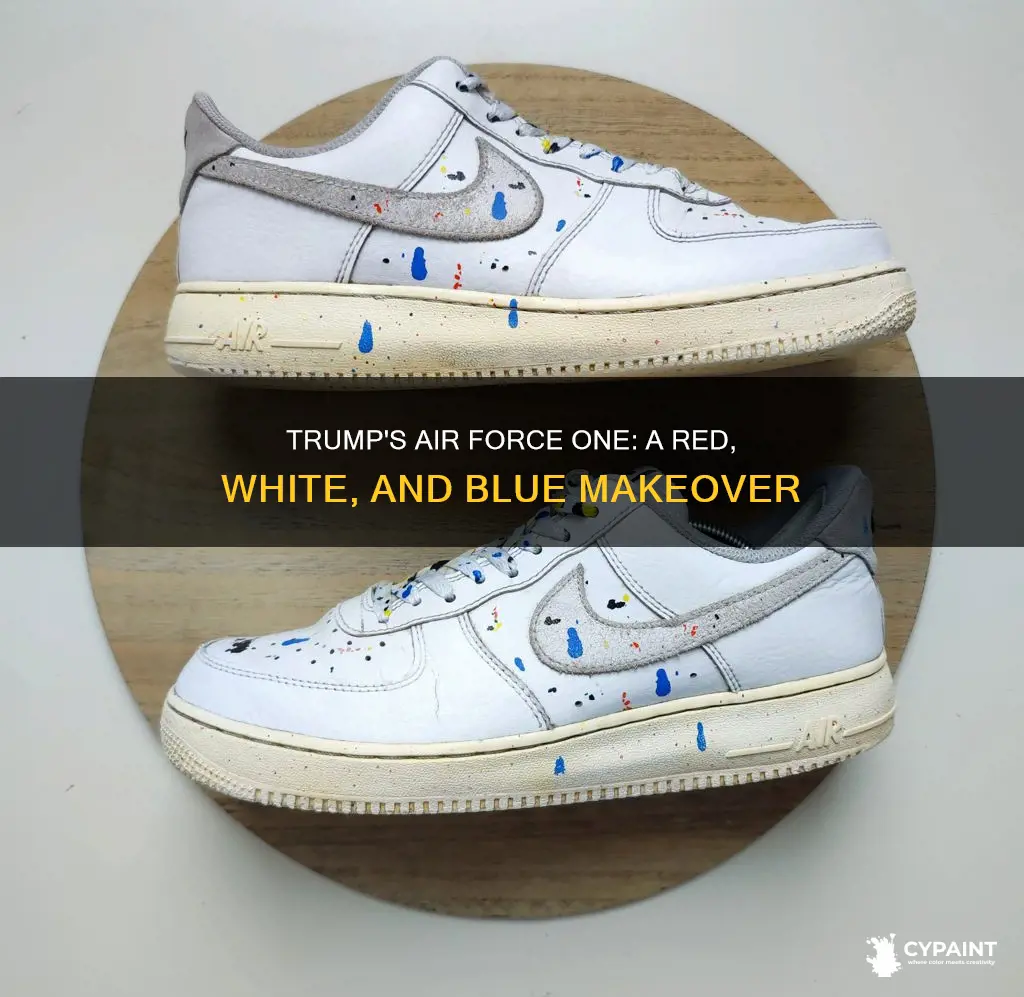 how does trump want to paint air force one