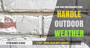Whitewashed Paint Durability: Weather Resistance and Outdoor Performance Explained