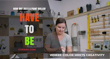 Paint Roller Dryness: How Much is Enough?