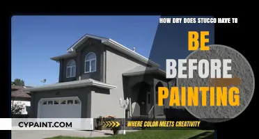 Stucco Painting: Ensuring Proper Dryness for Best Results