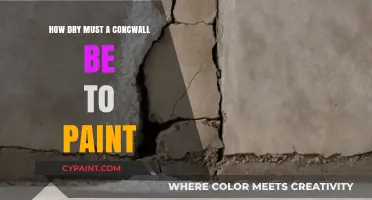 Perfect Paint Prep: Ideal Dryness for Concrete Walls Before Painting