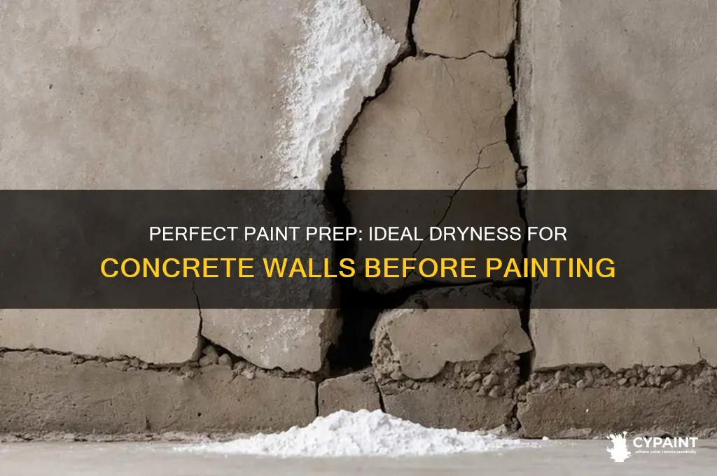 how dry must a concwall be to paint