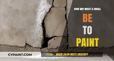 Perfect Paint Prep: Ideal Dryness for Your Concrete Wall