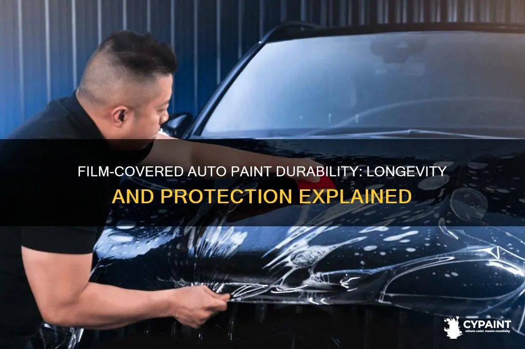 how durable is paint covered in film automobile