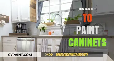 Painting Cabinets Made Simple: A Beginner's Guide to Effortless DIY