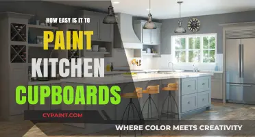 Effortless Kitchen Cupboard Painting: A Simple DIY Guide