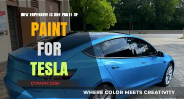 Costly Repairs: Tesla's Paint Panel Pricing