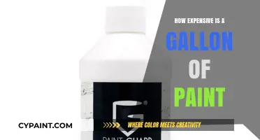 How Much Does a Gallon of Paint Cost? A Price Breakdown