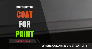 E-Coat Paint Cost: Understanding the Expense and Value